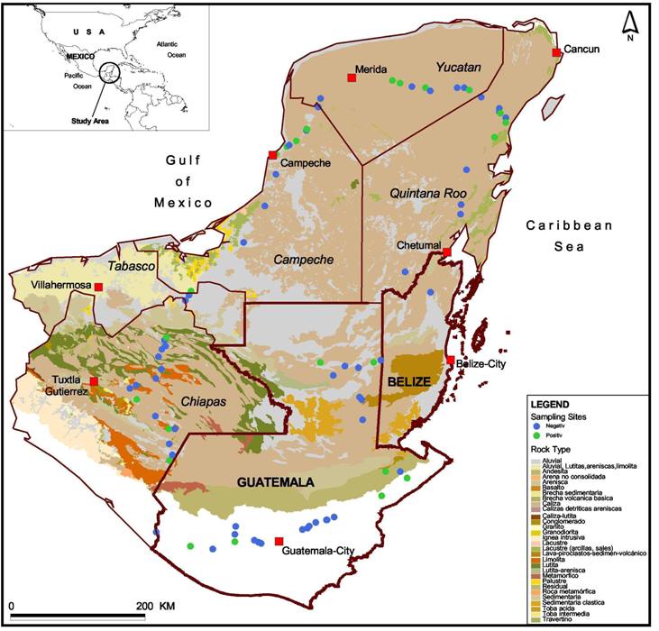 La relaci�n entre las caracter�sticas geol�gicas y la presencia de los cuerpos de inclusi�n del nucleopoliedrovirus m�ltiple de Spodoptera frugiperda en Mexico, Belice y Guatemala.