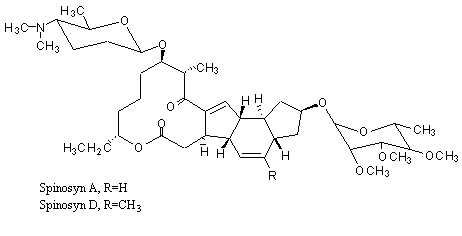 Structure of spinosad molecule